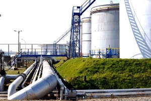  petroleum reserve 